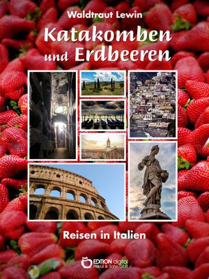 cover image of Katakomben und Erdbeeren